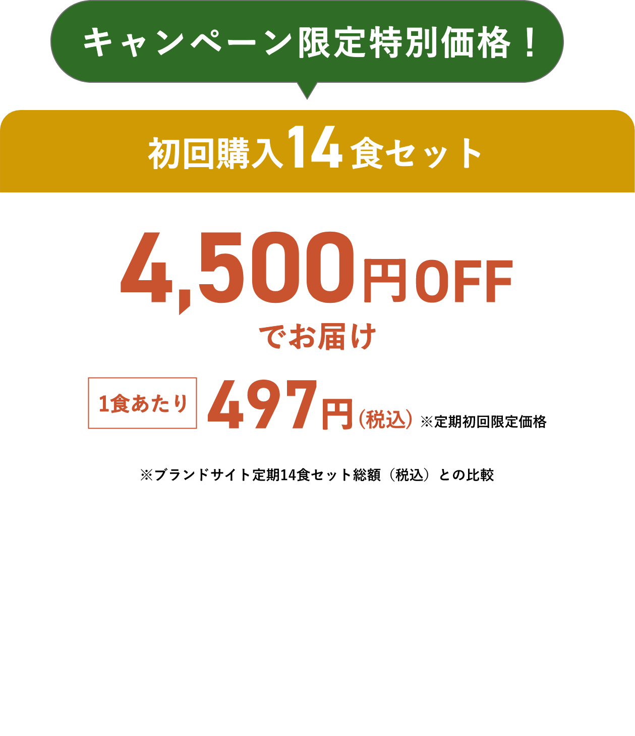 キャンペーン限定価格